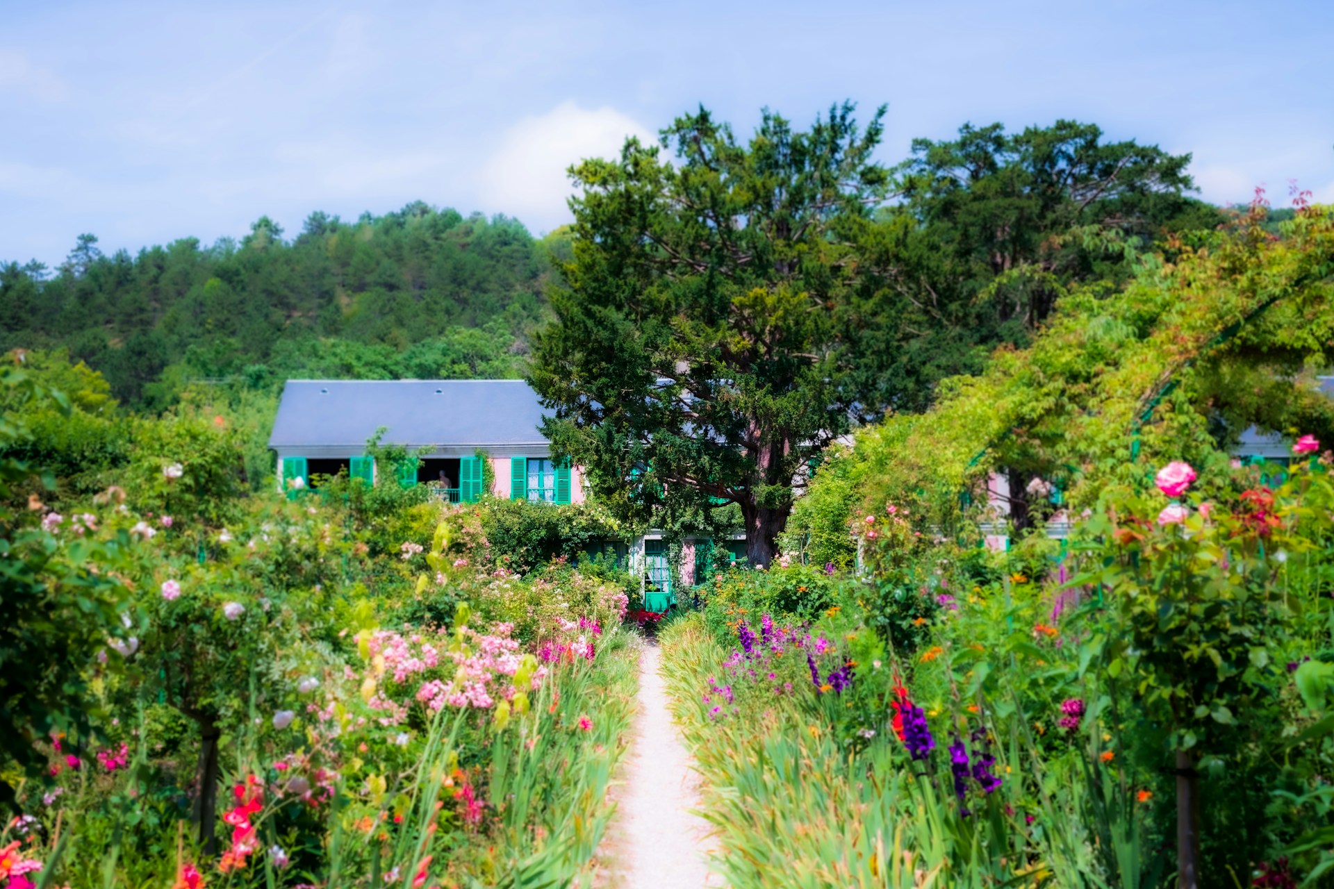 Botanisches Teamwork, die Mischkultur im Garten